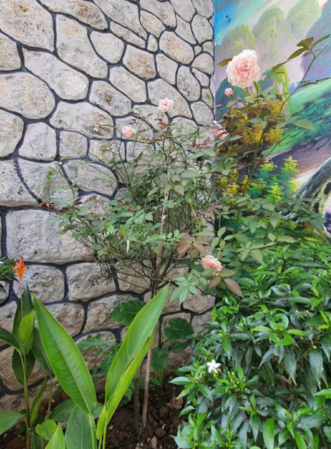 Trang An Hana Homestay Nguyen Ngoai Exterior foto